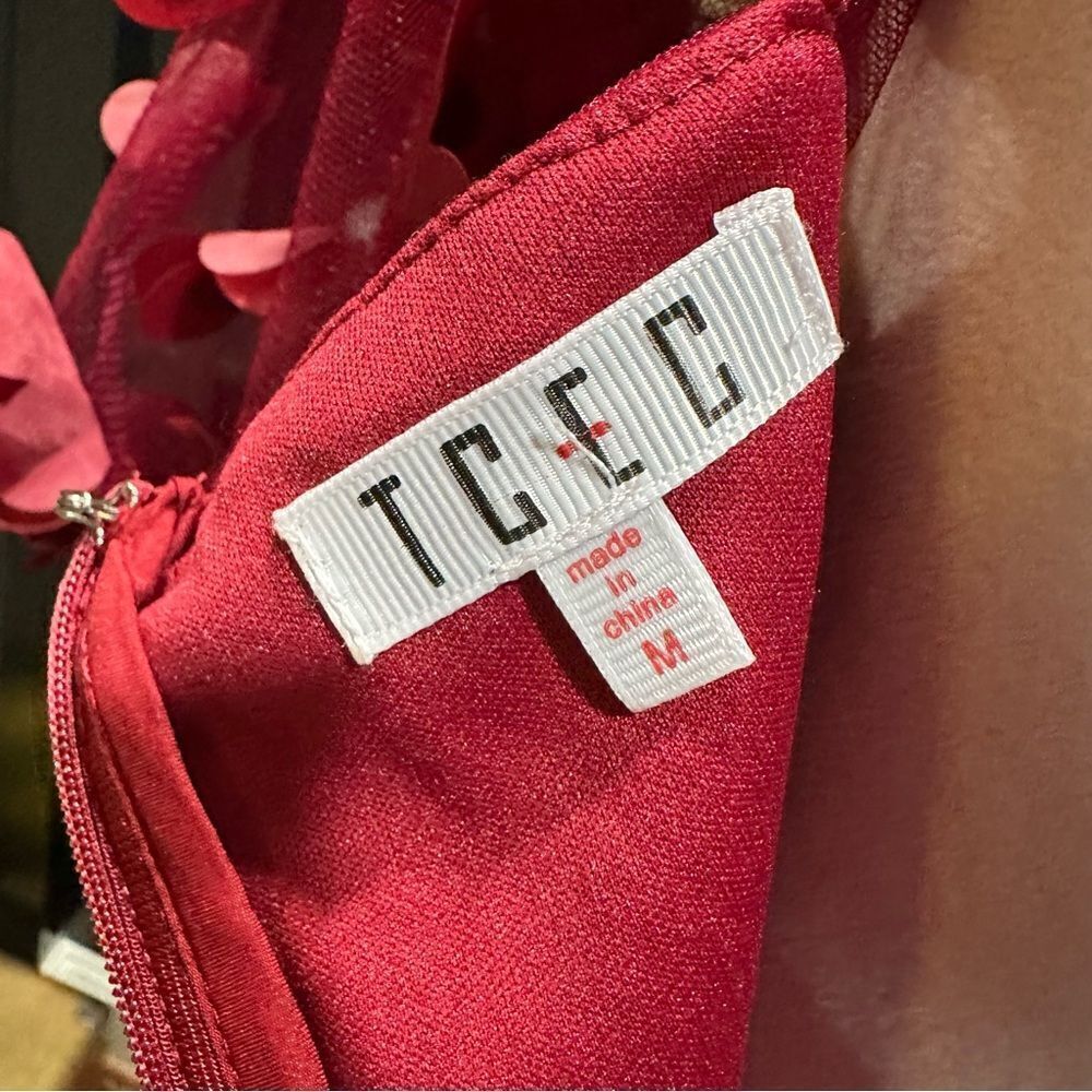 TCEC Burgundy Mini Dress with 3D Petal Appliqués - Picture 14 of 14